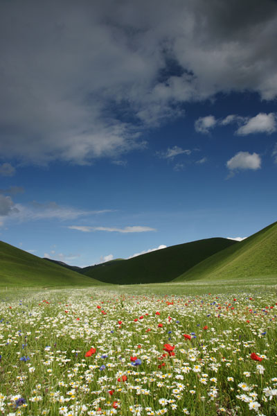Panorama.jpg