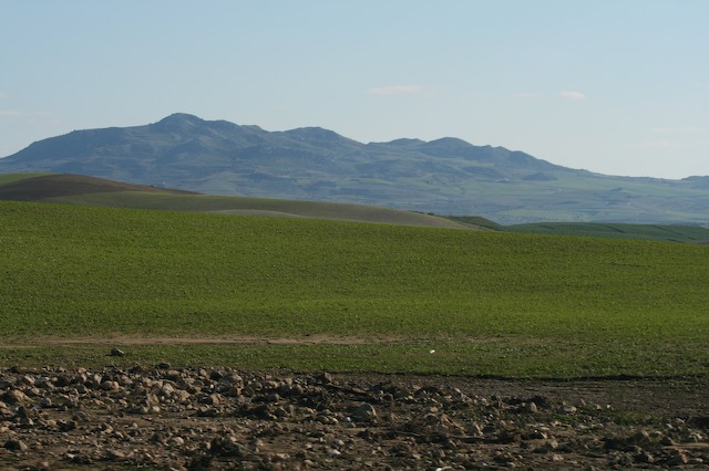 panorama (1).jpg