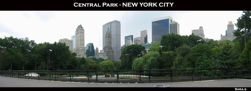 panorama_centralpark2_web.jpg