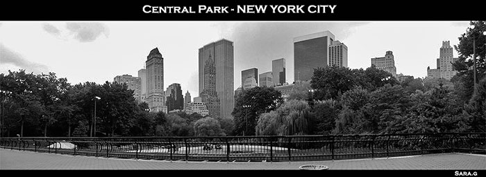 panorama_centralpark2_web_523 copia.jpg