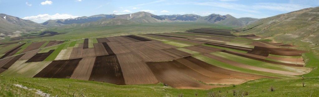 Panorama_piano_grande_1_rid.JPG