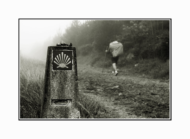 pellegrino-nebbia-2.jpg
