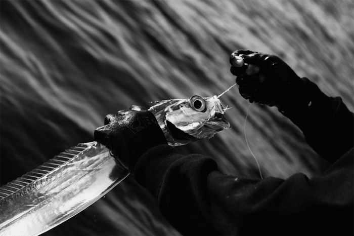 pesca-3a.jpg