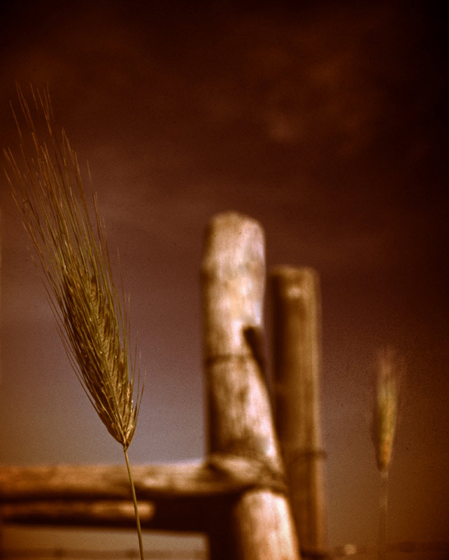 photo.jpg