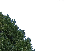photoshop.jpg