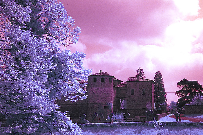 piacenza_castel_4.jpg