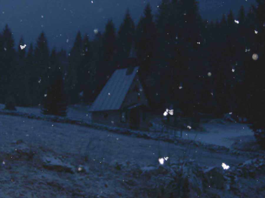 PIC_0058-2-3-5.jpg