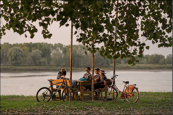 picnic.jpg