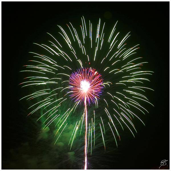 PICT1393 (Medium).jpg