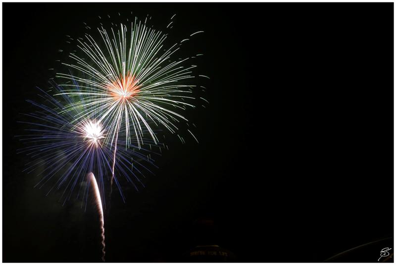 PICT1399 (Medium).jpg