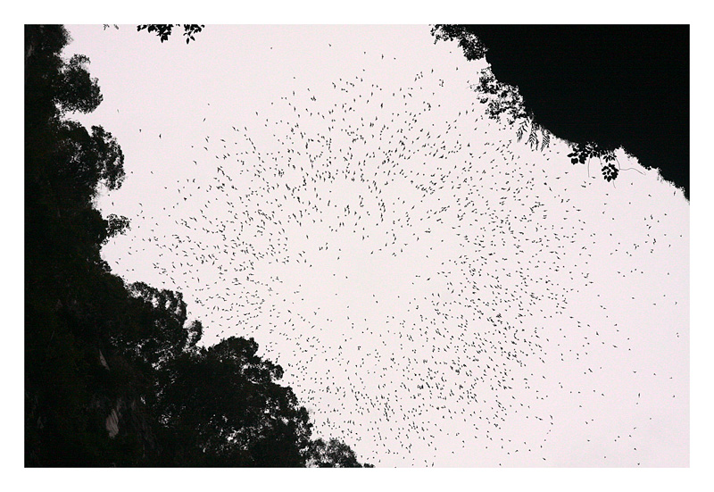 Picture-5-Edit.jpg