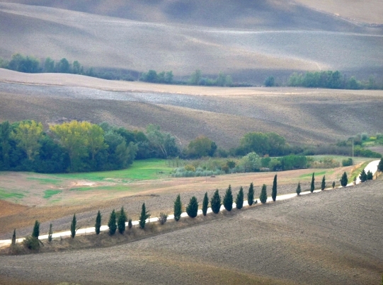 Pienza filare.JPG