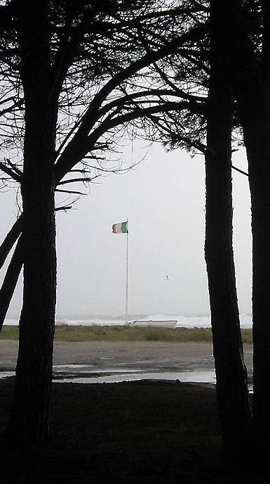 piniEbandiera--1-.jpg