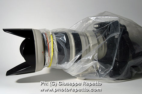 Plastic-cover_IMG_2703.jpg