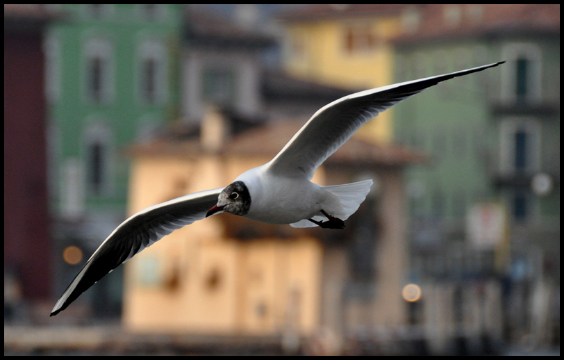 prova-2-nikon-D-90.jpg