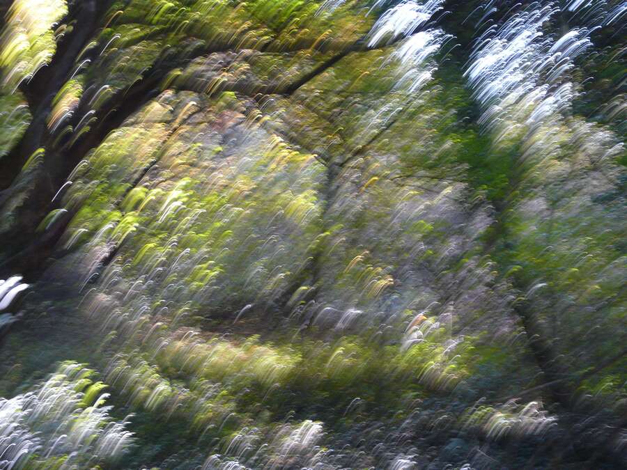 Prova_002.jpg