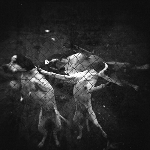 Quadretti_Holga_017.jpg