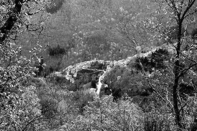 Quota - Pratomagno 027 B&W 1 [640x480].jpg