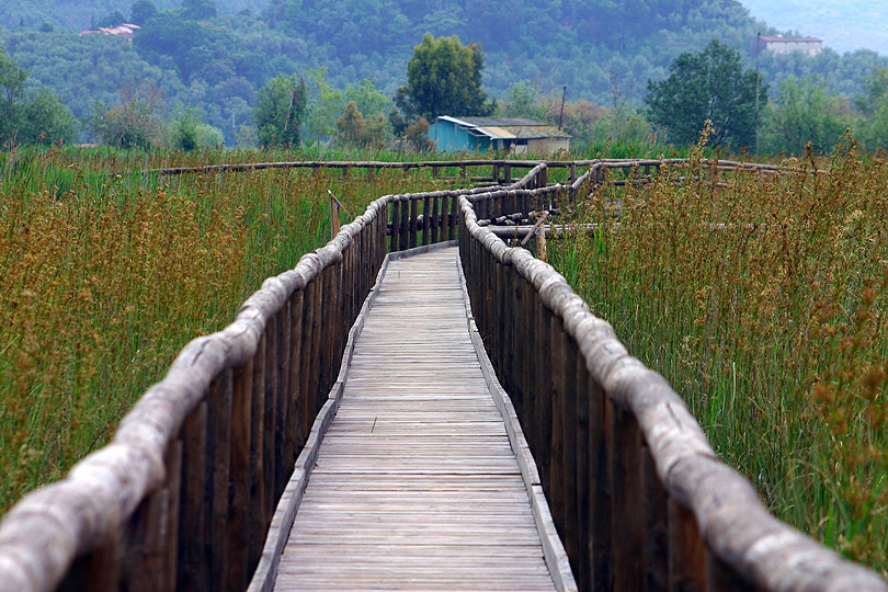 Reportage-5.jpg