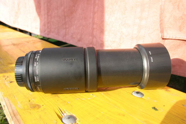 Resized IMG_2902.jpg