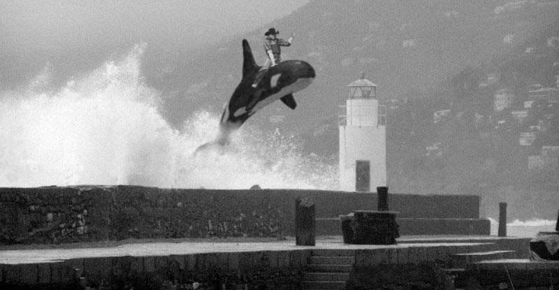 riding-freewilly.jpg