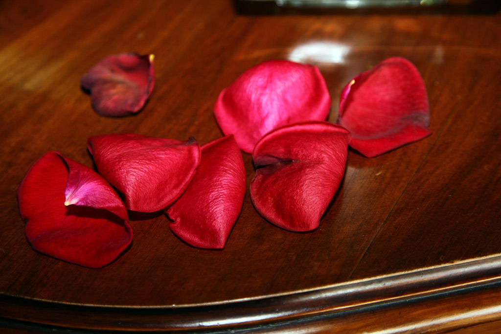 rosa-9.jpg
