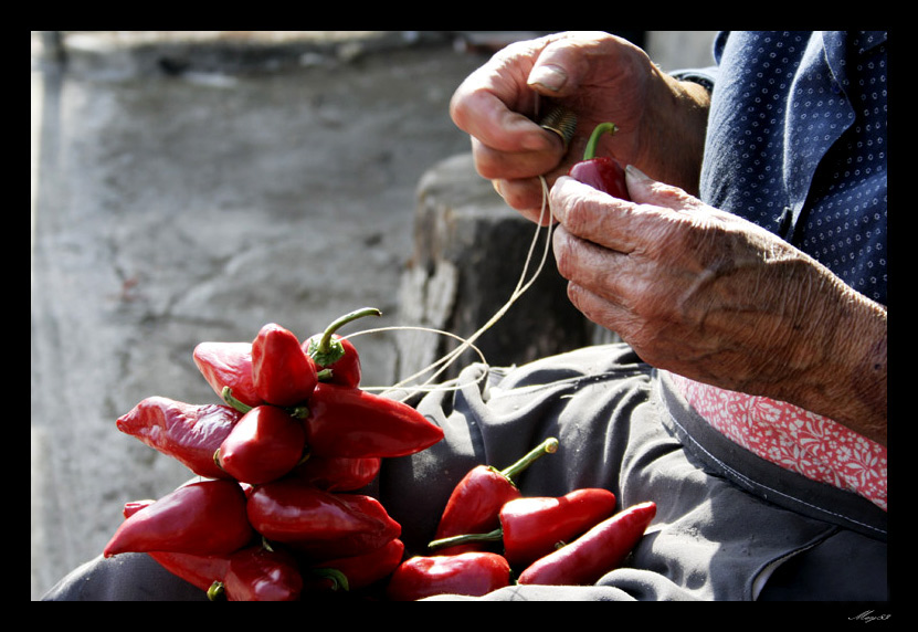 rosso-di-calabria5.jpg