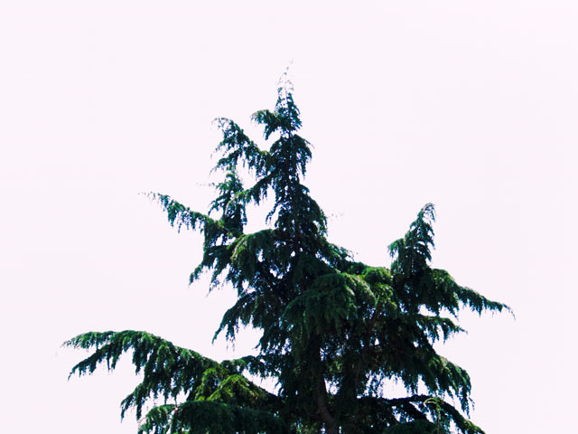 s5600-iso-200-spot-1.160sec.jpg