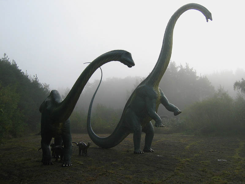 Sauri nella nebbia.jpg