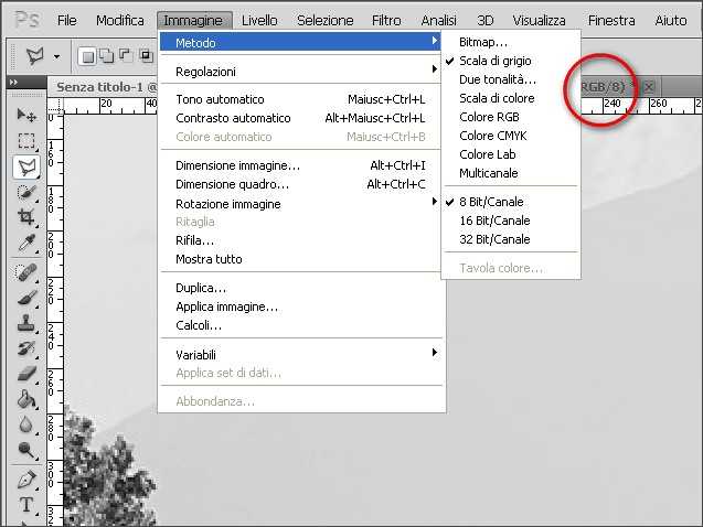 scalagrigi_silvano.jpg