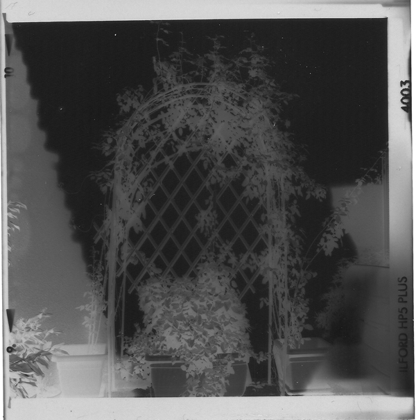 scan02.jpg