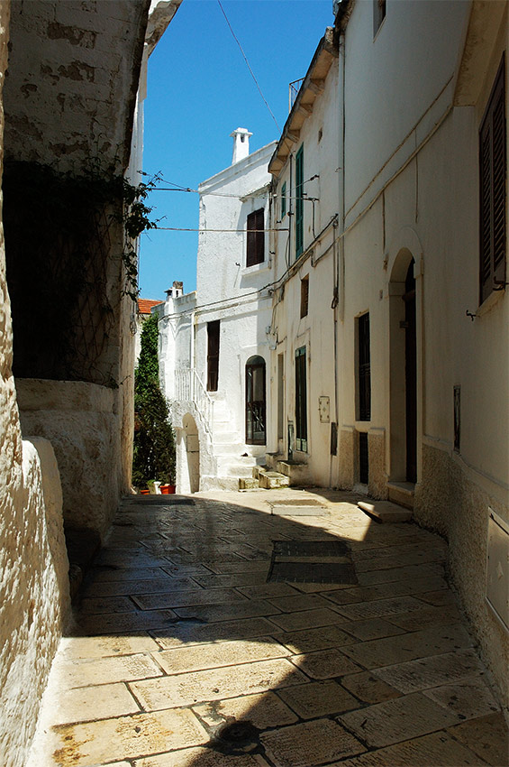 scorcio.10b.jpg