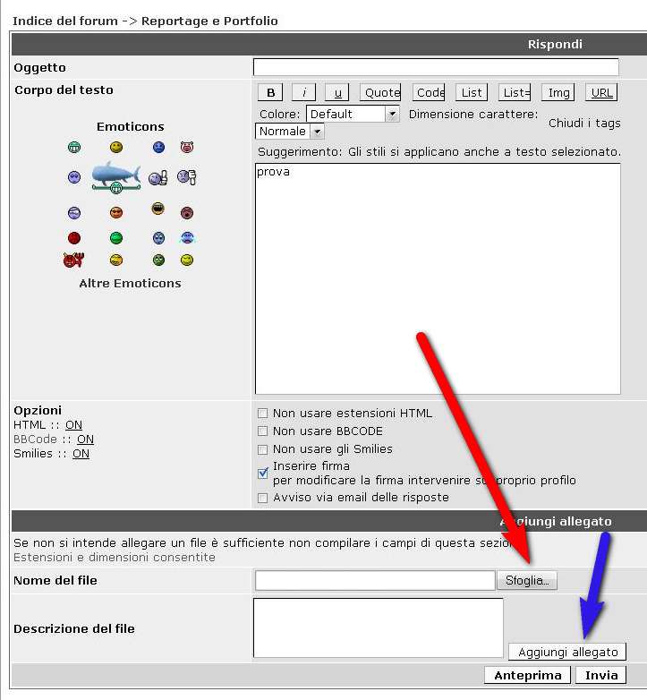 screen Allegato.JPG