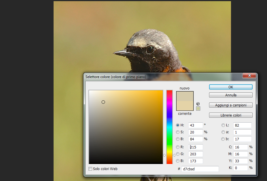 Screenshot 2015-05-24 13.59.jpg