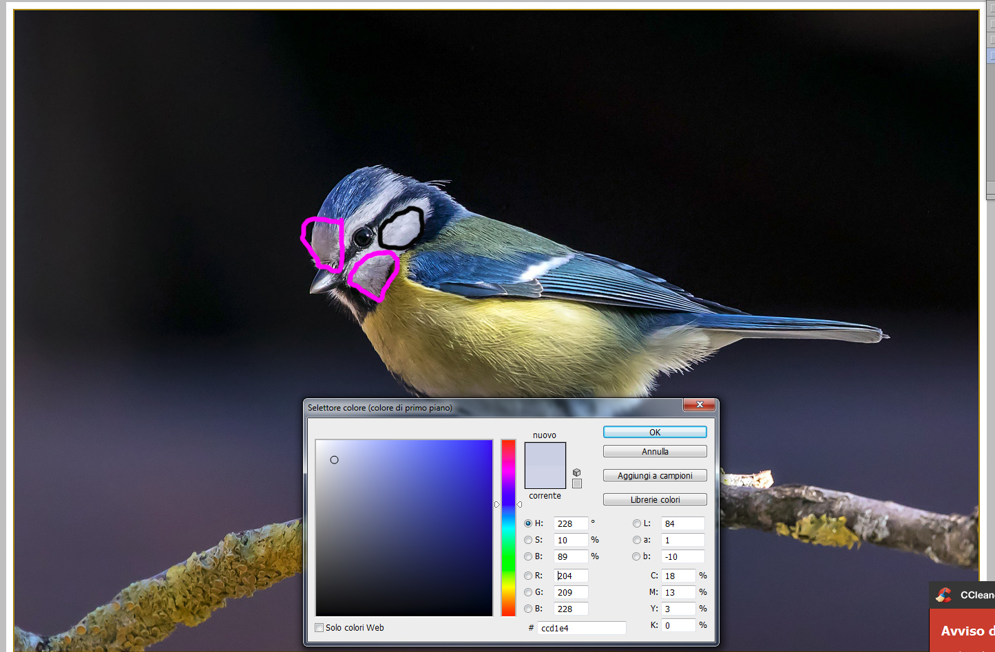 Screenshot 2017-01-31 12.02.jpg