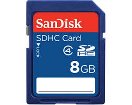 SD Sandisk8Gb Classe2.JPG