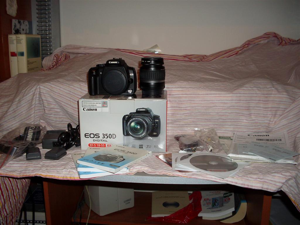 SDC10352 (Large).JPG