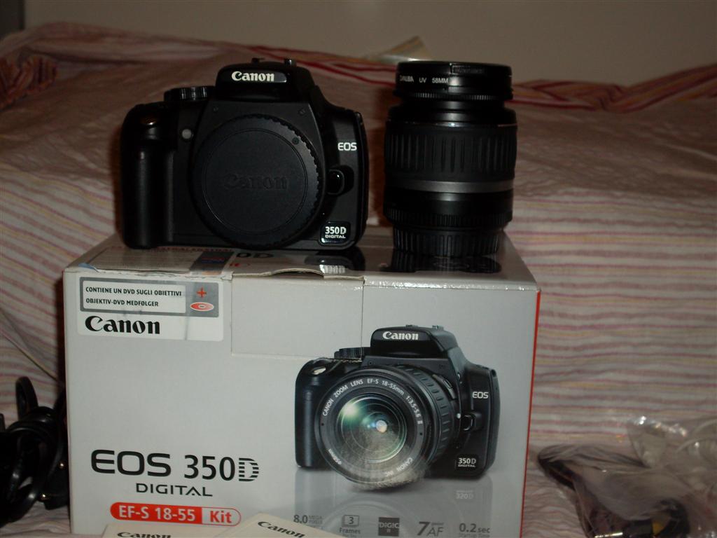 SDC10354 (Large).JPG