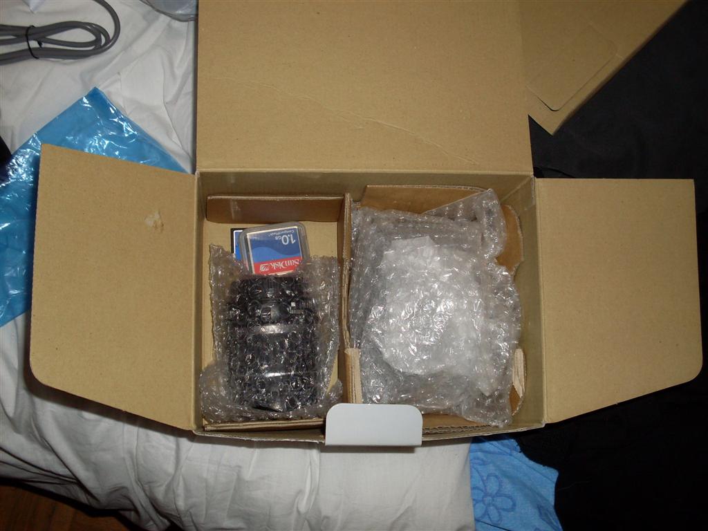 SDC10370 (Large).JPG