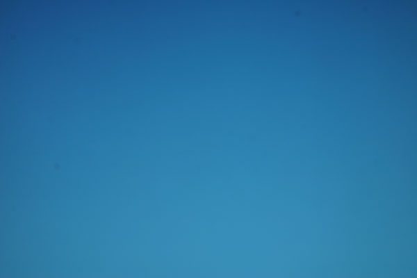 sensore-zozzof11.jpg