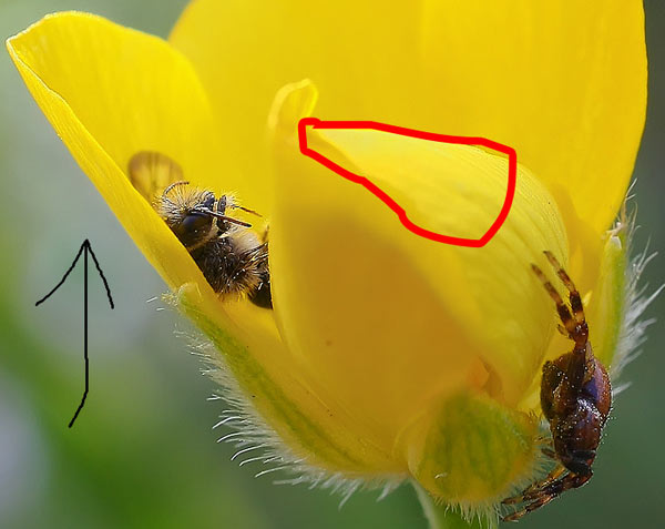 Senza-titolo-1.jpg
