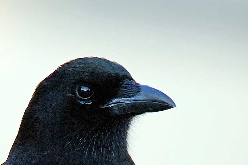 Senza-titolo-1.jpg