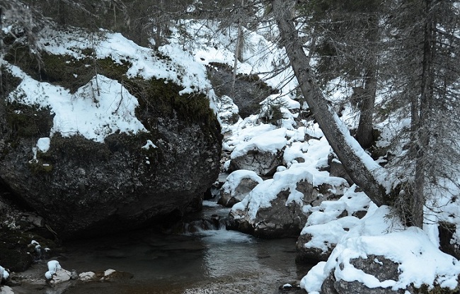 Settimana bianca val di fassa 2012 378.jpg