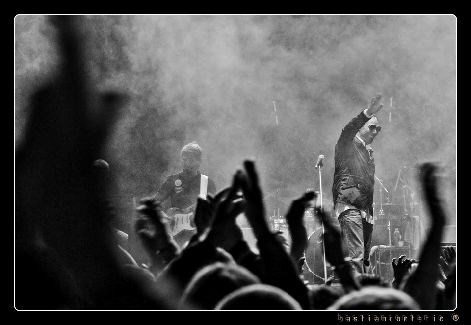 SG102198 (Large)_c.jpg