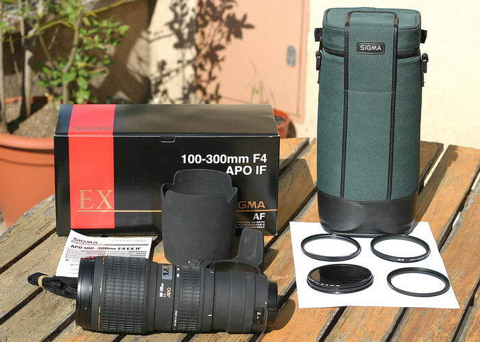 sigma100300_1.jpg
