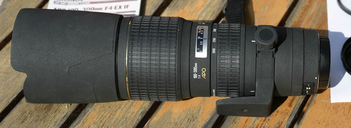 sigma100300_4.jpg