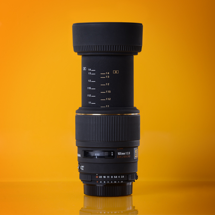 Sigma 105  Macro 004_720.jpg