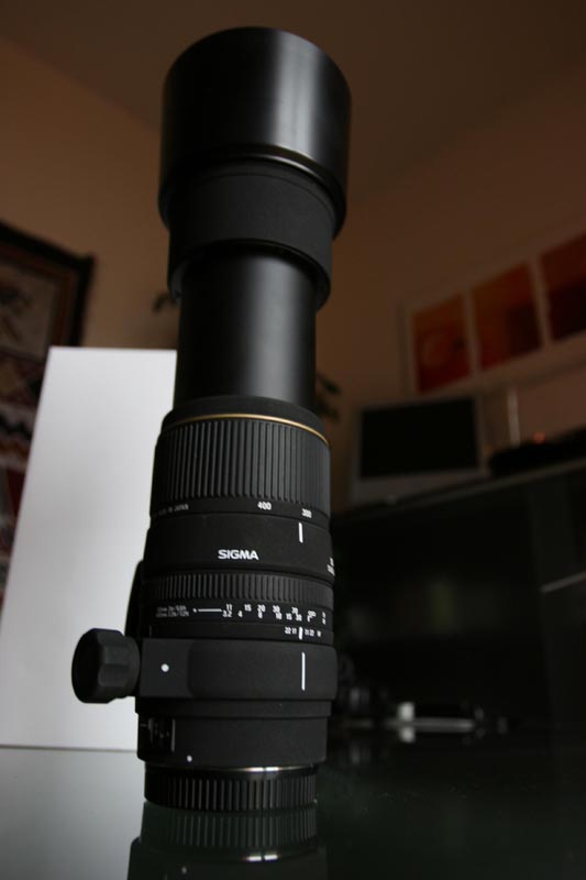 SIGMA 135 -400 vista a 400 mm.jpg