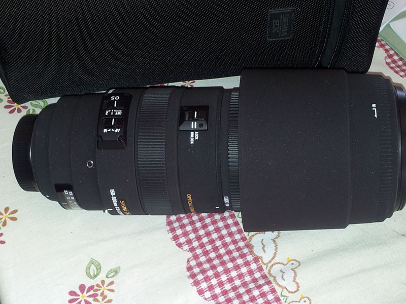sigma 150-500.jpg