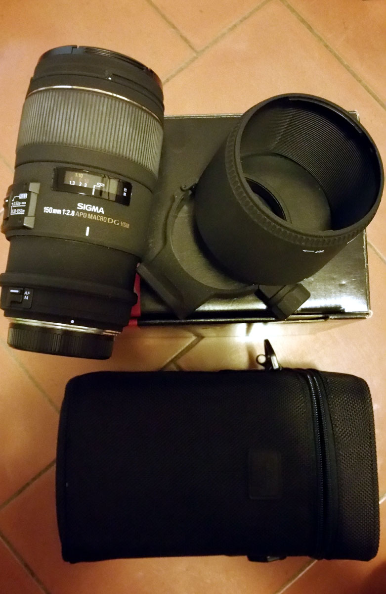 sigma 150 macro.jpg